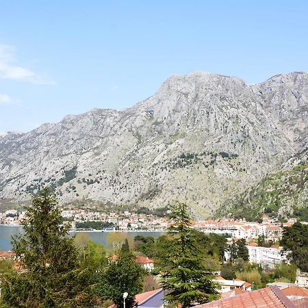 Apartment Baletic Kotor Exteriör bild