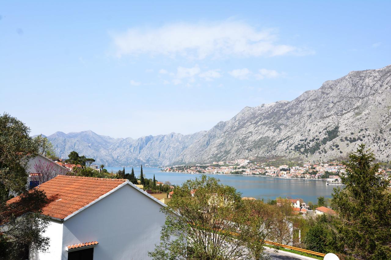 Apartment Baletic Kotor Exteriör bild