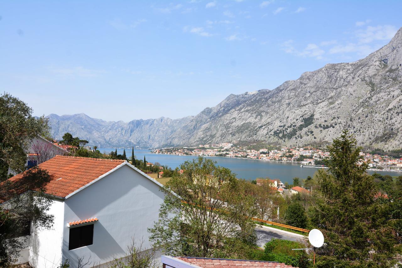 Apartment Baletic Kotor Exteriör bild
