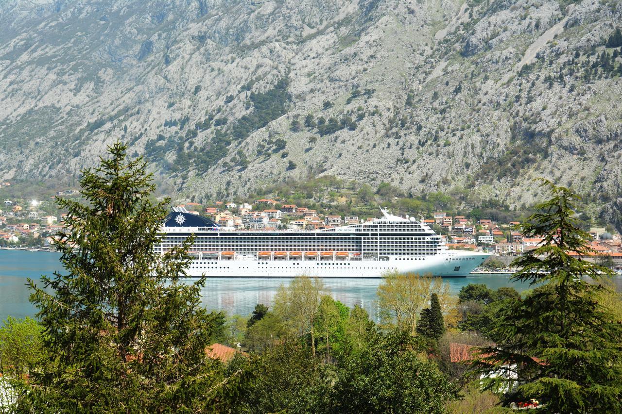 Apartment Baletic Kotor Exteriör bild
